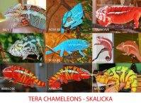 Skalicka.jpg