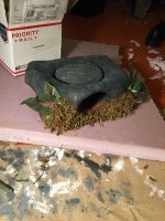 IMG_0262.jpg