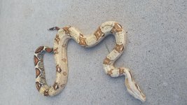 20140828_101738.jpg