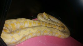 20150319_162637.jpg