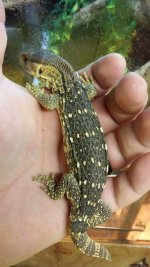 FB_IMG_1424744545355.jpg