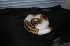 DSC_1007.jpg