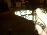 IMG00458.jpeg