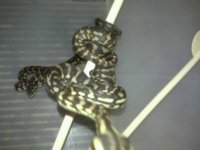 IMG00466.jpeg