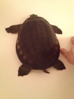 image9.jpeg