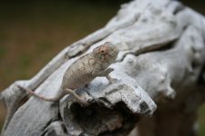 IMG_2362.jpg