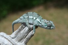 IMG_2372.jpg