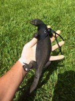 toothless 2.jpg