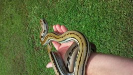 20150723_114736.jpg