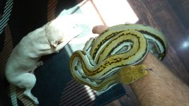 20150727_100013.jpg