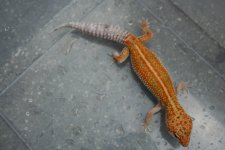 IMG_1490.jpg