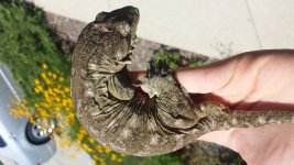 20150727_113959.jpg