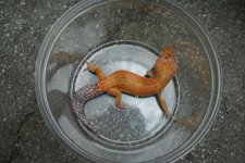 IMG_1497.jpg