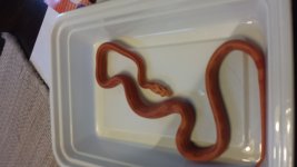 20150603_175921.jpg