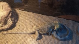 20150614_095443.jpg