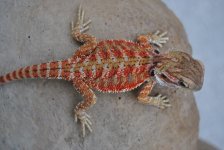CSC_0858.jpg
