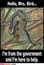 government-snake.jpg