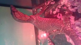 20150524_184433.jpg