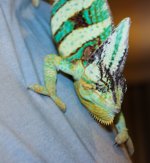 IMG_3231.jpg
