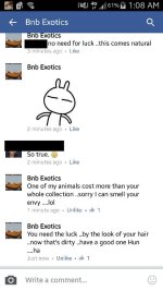 Amber 1 fix.jpg
