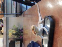 DSCN1539.jpg