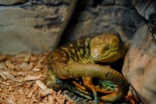 thumb_DSC_0668_1024.jpg