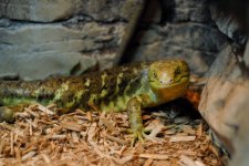 thumb_DSC_0672_1024.jpg