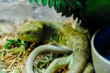 thumb_DSC_0685_1024.jpg