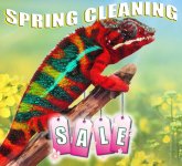 Spring Cleaning Sale.jpg