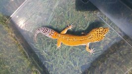 20150809_145711.jpg