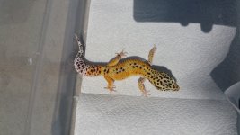 20150809_151151.jpg