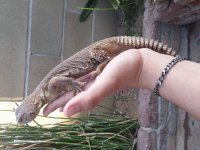 20150610_183116.jpg