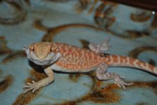 DSC_0014.jpg