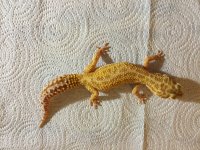 IMG_4951.jpg