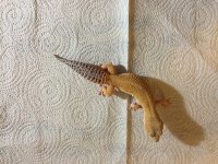 IMG_4952.jpg