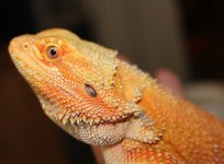 IMG_7002.jpg