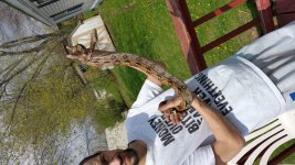 20150413_120123.jpg