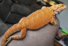 IMG_6831.jpg