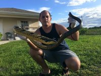yellow puff snake2.jpeg