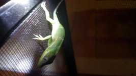 20150728_223540.jpg