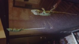 20150728_223321.jpg
