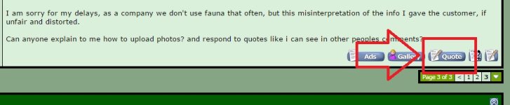 quote.jpg