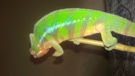 20150610_183856.jpg
