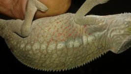 20150408_180630.jpg