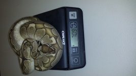 20150518_093920.jpg