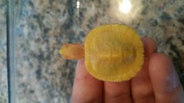 20150825_161829.jpg