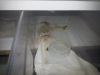 20150616_210322.jpg