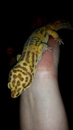 2015-04-04 21.55.26.jpg