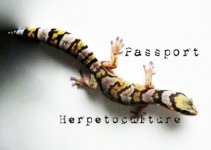 PassportHerp_Vcard.jpg
