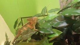 20150515_132902.jpg